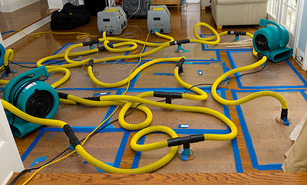 Professional Flood Damage Restoration technician working in New York, NY